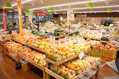 ŹÆâ¤ÏÀ¸»º¼Ô¤µ¤óľÀܽв٤νܤξ¦Éʤ¬¤¤¤Ã¤Ñ¤¤¡ª ŹÆâ¤ÏÀ¸»º¼Ô¤µ¤óľÀܽв٤νܤξ¦Éʤ¬¤¤¤Ã¤Ñ¤¤¡ª